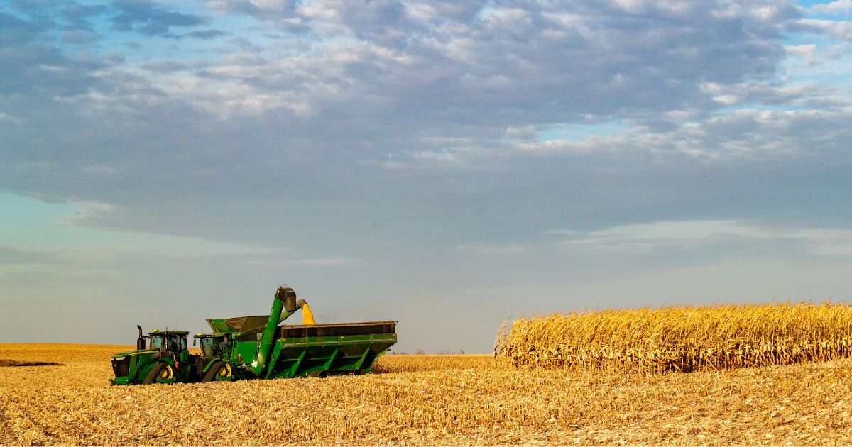 Current grain contracts - CHS SunBasin Growers