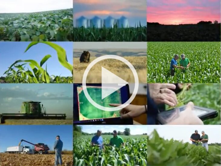 Screenshot of a video