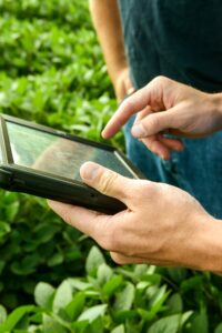 person looking at a tablet