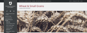 Screenshot of a website