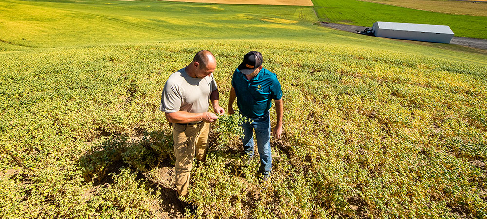 two men talking in a field